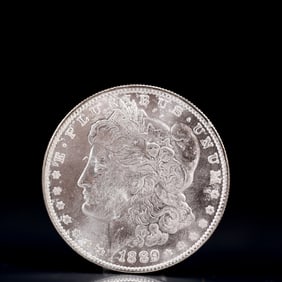 USA Morgan Dollar 1889 Coin