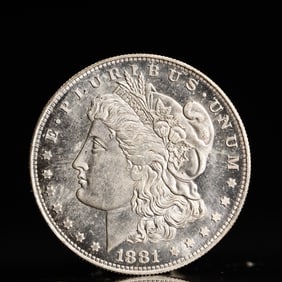 USA Morgan Dollar 1881 Coin