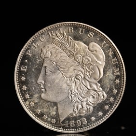 USA Morgan Dollar 1893 Coin