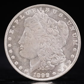 USA Morgan Dollar 1899 Coin