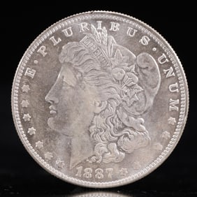 USA Morgan Dollar 1887 Coin