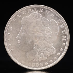 USA Morgan Dollar 1896 Coin