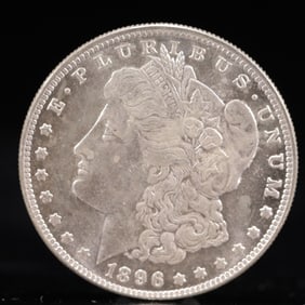 USA Morgan Dollar 1896 Coin
