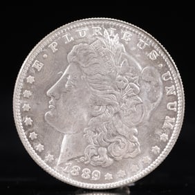 USA Morgan Dollar 1889 Coin