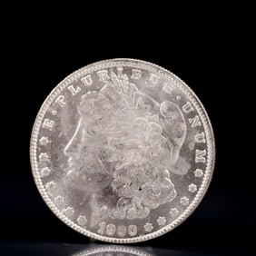 USA Morgan Dollar 1900 Coin