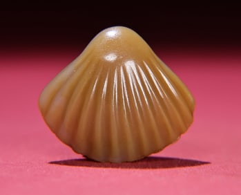 An Exquisite Agate Shell Hand Piece