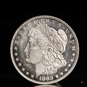 USA Morgan Dollar 1883 Coin