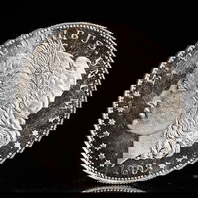 USA Morgan Dollar 1893 Coin: Obv: profile bust with date below and E PLURIBUS UNUM legend and stars around. Rev: eagle with In God we trust above within wreath with UNITED STATES OF AMERICA ONE DOLLAR legend. IN GOD WE TRUST / LI