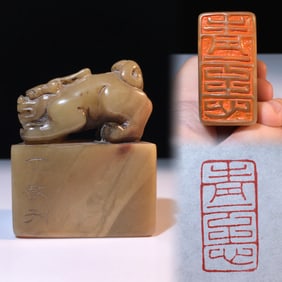 An Exquisite Shoushan Stone Auspicious Beast Pattern Seal