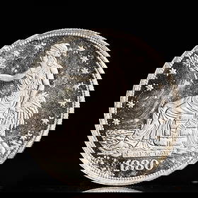 USA Trade Dollar 1880 Coin: American coin. Obverse: Liberty seated on a pedestal facing the sea to the left holding olive branches surrounded by 13 stars. IN GOD WE TRUST / LIBERTY / 1880. Reverse: An eagle holding branches with