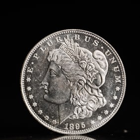 USA Morgan Dollar 1895 Coin