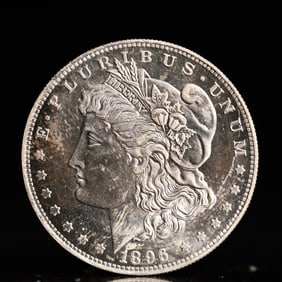 USA Morgan Dollar 1896 Coin