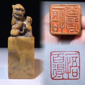 An Exquisite Shoushan Stone Auspicious Beast Pattern Seal