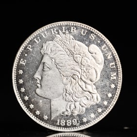 USA Morgan Dollar 1889 Coin