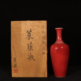 An Exquisite Peach Bloom Glazed Vase