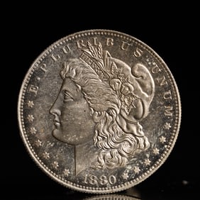 USA Morgan Dollar 1880 Coin