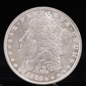 USA Morgan Dollar 1889 Coin