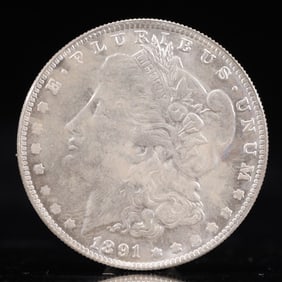 USA Morgan Dollar 1891 Coin