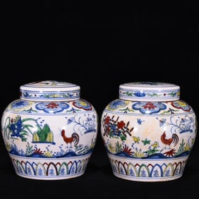 An Exquisite Doucai Flower and Bird Pattern Jar