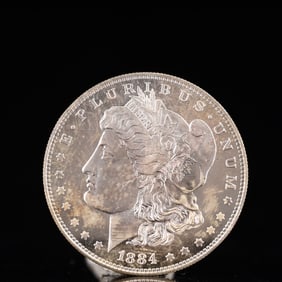 USA Morgan Dollar 1884 Coin