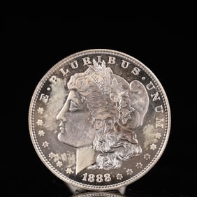 USA Morgan Dollar 1888 Coin