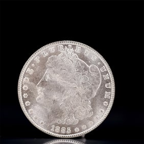 USA Morgan Dollar 1885 Coin