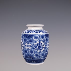 An Exquisite Blue and White Lotus Pattern Jar