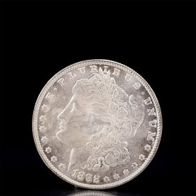 USA Morgan Dollar 1892 Coin