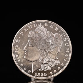 USA Morgan Dollar 1895 Coin