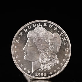 USA Morgan Dollar 1889 Coin