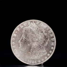 USA Morgan Dollar 1884 Coin