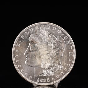 USA Morgan Dollar 1885 Coin