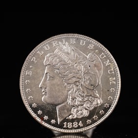 USA Morgan Dollar 1884 Coin