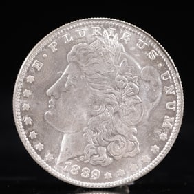 USA Morgan Dollar 1889 Coin