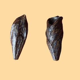 A Pair of Rare Eaglewood Hand Pieces