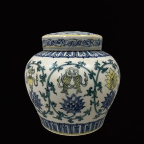 An Exquisite Doucai Lotus Pattern Jar