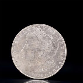 USA Morgan Dollar 1884 Coin