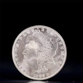 USA Morgan Dollar 1882 Coin