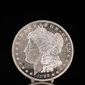 USA Morgan Dollar 1893 Coin