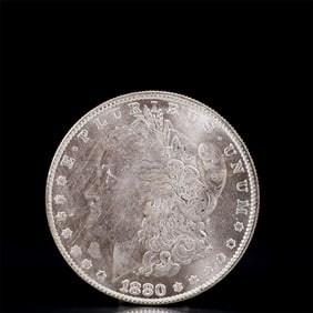 USA Morgan Dollar 1880 Coin