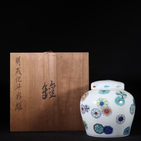 A Rare Doucai Flower Pattern Jar