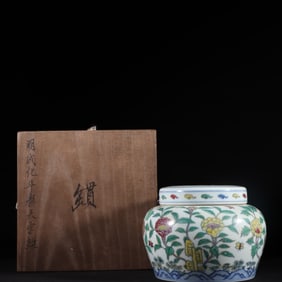 A Rare Doucai Flower Pattern Jar