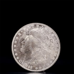 USA Morgan Dollar 1893 Coin
