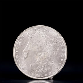 USA Morgan Dollar 1881 Coin