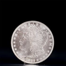 USA Morgan Dollar 1882 Coin
