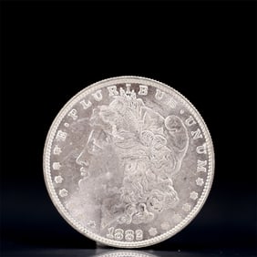 USA Morgan Dollar 1882 Coin
