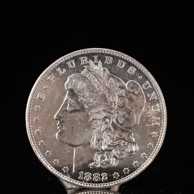 USA Morgan Dollar 1882 Coin