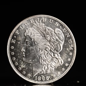 USA Morgan Dollar 1896 Coin