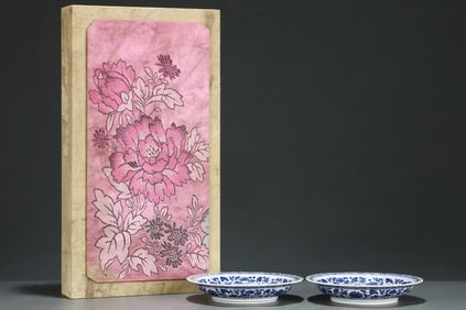 A Pair of Exquisite Blue and White Lotus Pattern Plates