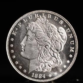 USA Morgan Dollar 1884 Coin